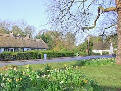 Childe Of Hale Cottage - 27896 エクステリア 写真